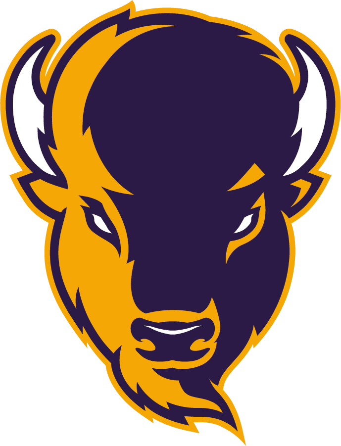 Lipscomb Bisons 2020-Pres Alternate Logo v3 diy DTF decal sticker